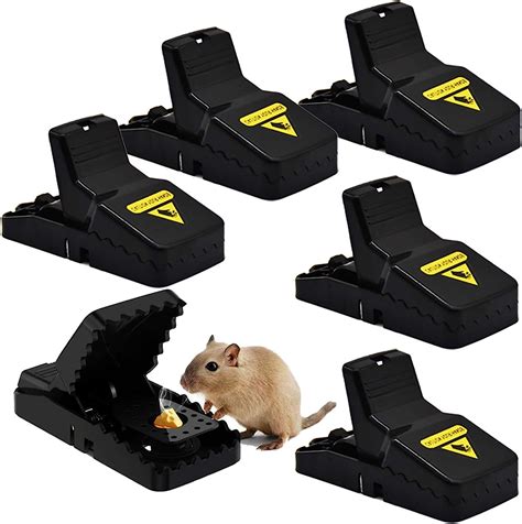 mouse trap amazon